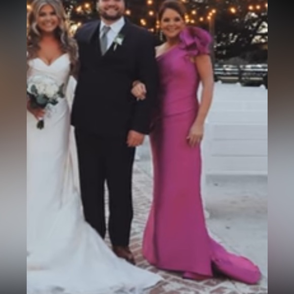 Alexander by Daymor evening Mardi Gras gown size 10 mother of bride/groom - Picture 4 of 11